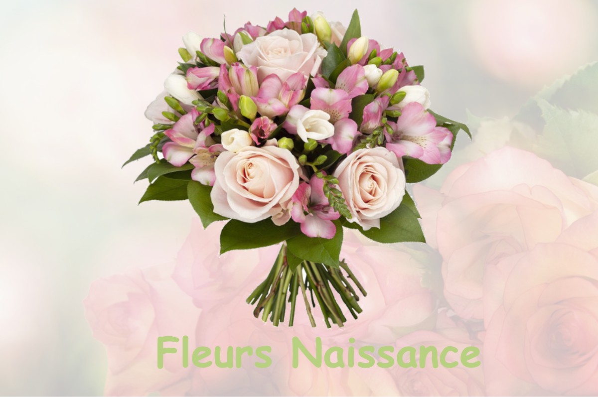 fleurs naissance CHORANCHE