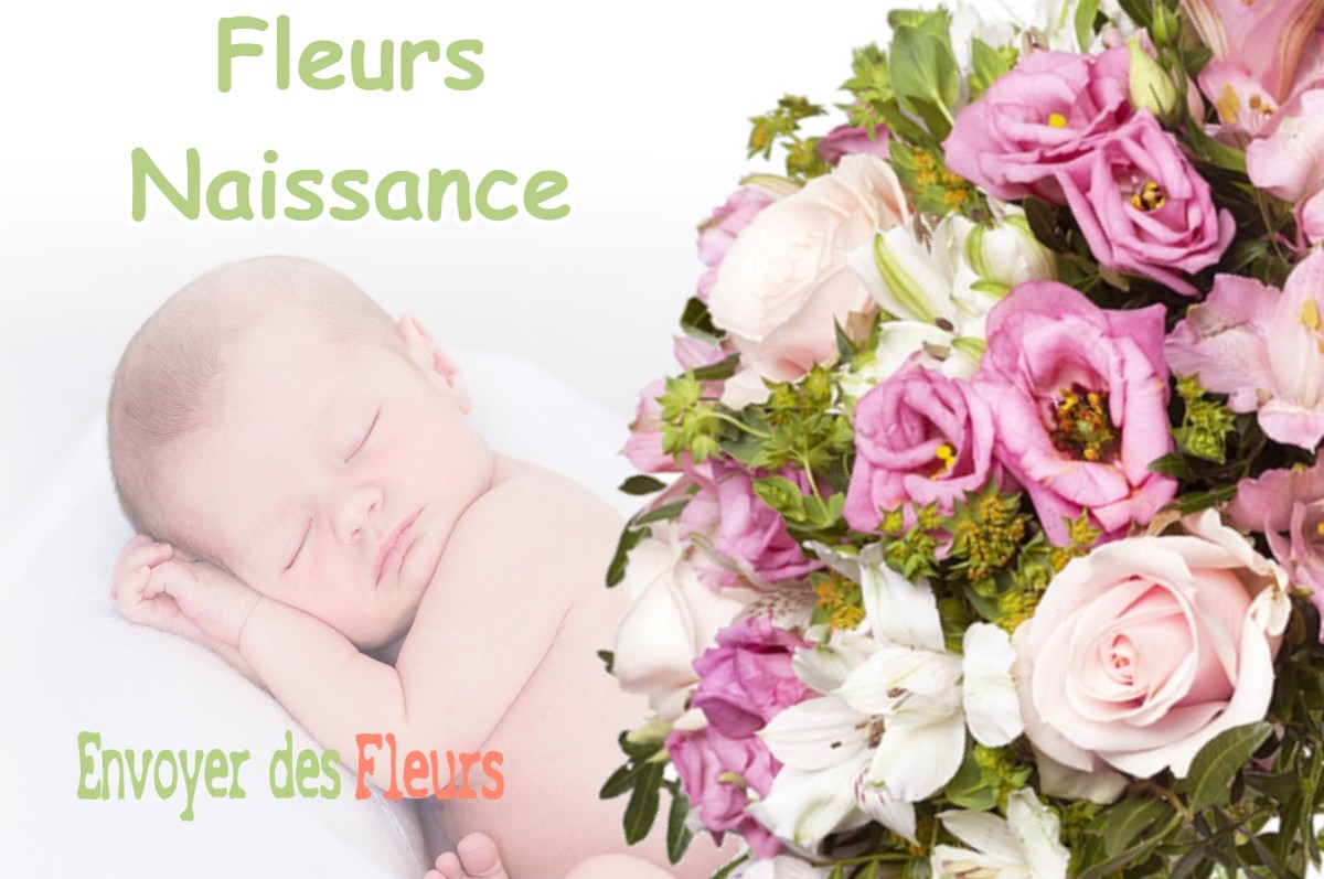 lIVRAISON FLEURS NAISSANCE à CHORANCHE